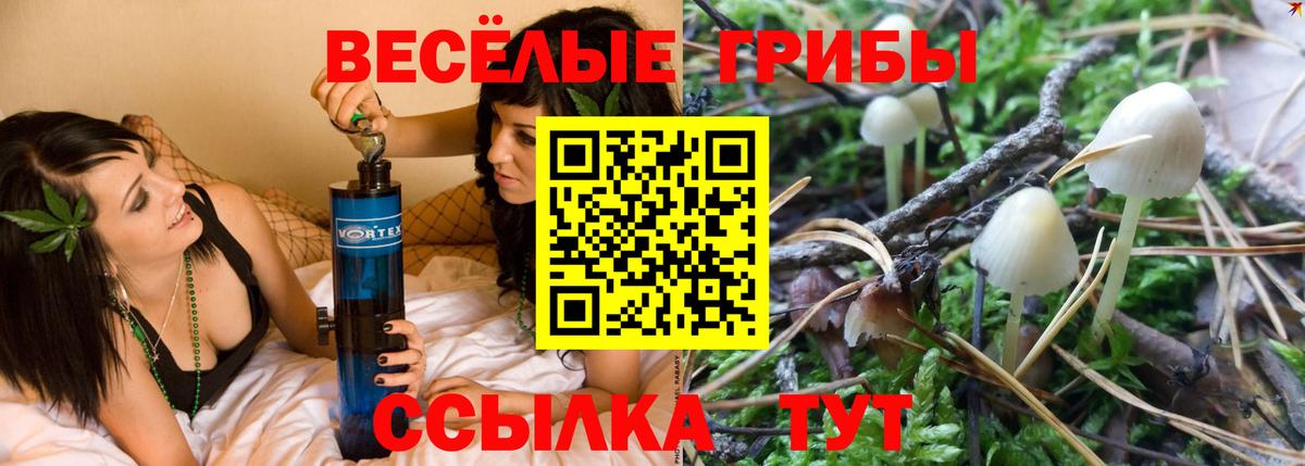 Галлюциногенные грибы ЛСД  Вход с VPN  Можга  Галлюциногенные грибы MAGIC MUSHROOMS 