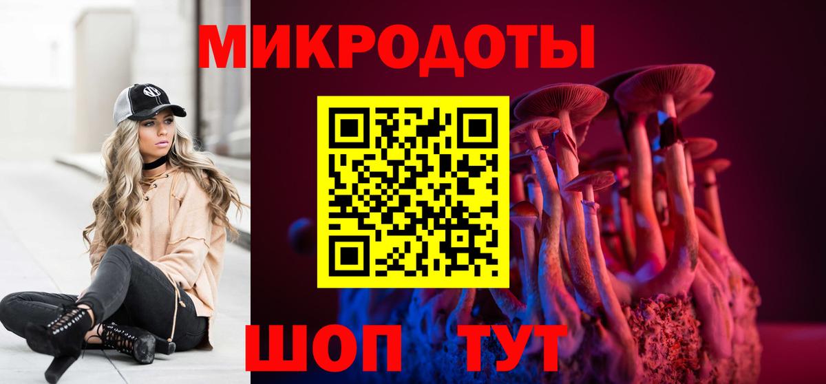 Галлюциногенные грибы Psilocybe Можга